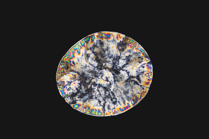 Illustration for article titled Narcotics and Medicines Look Beautiful Under a Microscope